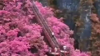 دکلمه غزل فارسی شماره 24073 موسی الرضا طایفی(طالب اردبیلی)