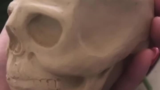 مراحل ساخت جمجمه