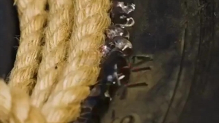 طراحی و ساخت کمد و میز دکوری و جای شربتی با آنی حامی Ani Hami