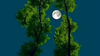 مولودی امام حسن ع ببین که گهواره بسمت اسمون داره اشاره