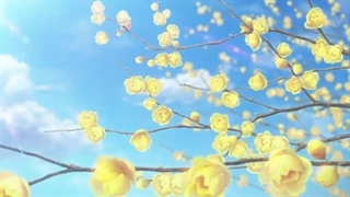 تریلر سینمایی انیمه بانی گرل سنپای Rascal Does Not Dream of Bunny Girl Senpai