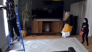 دوربین مداربسته ایمو چه لحظه باحالی را شکار کرده.