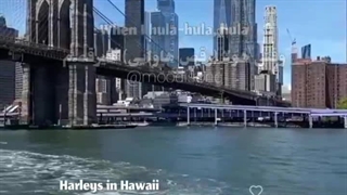هارلی ها در هاوایی