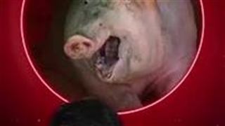 چند تا از این فرکت ها را باور کردین 