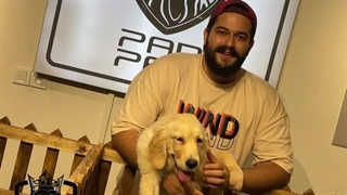 سگ کلدن رتریور | معرفی نژاد گلدن رتریور | Panpetkc