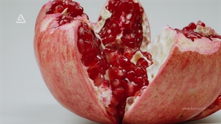 یلدای کسرایی ها