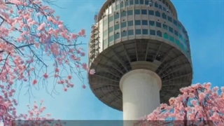 اگه بری براشون چی میاری؟....