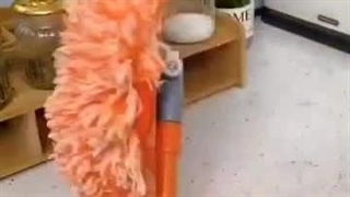 تی جالب و کاربردی