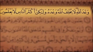 ترتیل جزء 21 مشاری العفاسی با نمایش آیه و ترجمه گویای فارسی همراه با تصاویر طبیعت