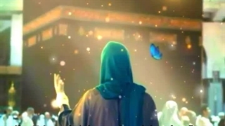 الان زمان یاری مسلمه...!!!