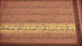 ترتیل جزء 25 مشاری العفاسی با نمایش آیه و ترجمه گویای فارسی همراه با تصاویر طبیعت
