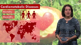 تغذیه در بیماری های قلبی و دیابت: معرفی دوره