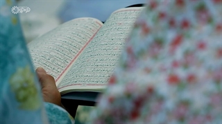 کلیپ | «صفحه‌صفحه زندگی»