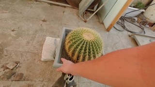 گل برای مامان بزرگم - ولاگ کارهای روزانه