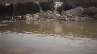آهنگ جدید سجاد نصیری عشق و علاقه - میفاموزیک