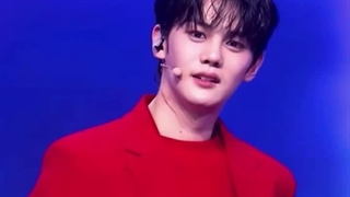 گیوین واقا سوجه 