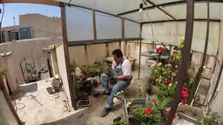 حرف کمتر کار بیشتر - ولاگ کارهای روزانه