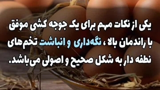 نکات مهم در نگه داری تخم نطفه دار