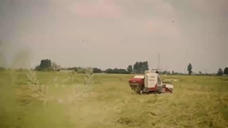 معرفی نماشون