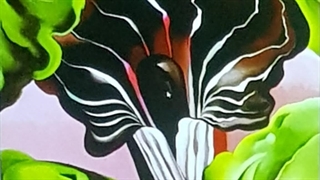 گل بزرگ می کنی آخرش بزنه تو سرت - ولاگ کارهای روزانه