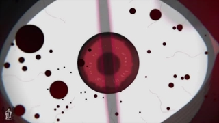 Mix anime Black clover |شبدر سیاه|