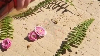 استفاده از رزین اپوکسی در بازسازی، تعمیرات و تزئینات با آنی حامی Ani Hami