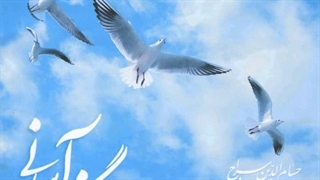 آهنگ شاهکار شب عاشقان بیدل با نوای استاد حسام الدین سراج - سروده سعدی شیرازی