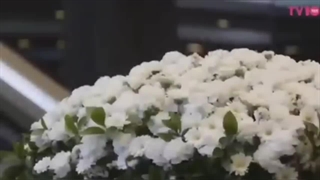 مراسم تشیع جنازه مونبین