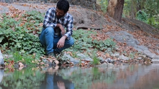 تکنوازی سنتور