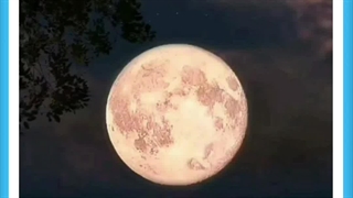 خداوند کیست؟ چیست؟ کجاست؟