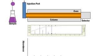 فروش دستگاه کروماتوگرافی گازی