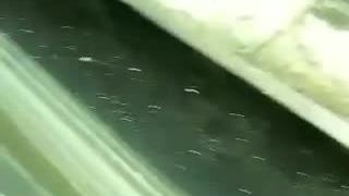 تولید مستربچ سفید در هامون بسپار