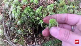 تنها ؛ 2021 ؛ فصل 8 ؛ قسمت 2