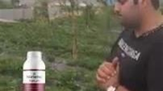 تاثیر استفاده از کود جلبک دریایی آلگاماچو و پتاس مایع کالیوم در مزرعه توت فرنگی