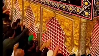 نوحه زنجیرزنی  فضای کربلا داردیش شورشی  افکنده برجانم