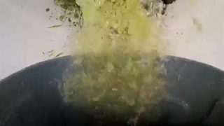 یکی از بزرگترین آزمایش های خمیر دندان فیل !