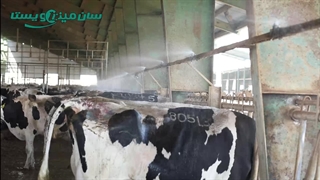 استرس گرمایی در گاوداری