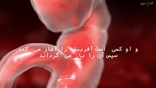 سورة الروم آیات ۲۰ الی ۲۷ با تلاوت زیبای مولاناکورتشی