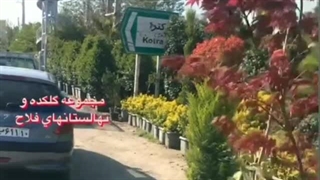 مجموعه گلکده و نهالستان فلاح