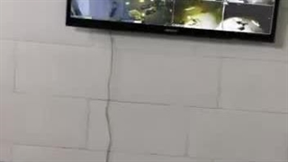 معرفی مجموعه چاپ شاهان