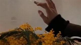 ست شده با کیوت اعظم