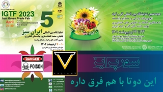 سورپرایز شدم | ولاگ کارهای روزانه