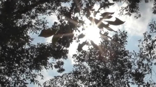 ۱ دقیقه نابِ آسمانی با آواز و تحریر ملکوتی استاد محمدرضا شجریان فقید