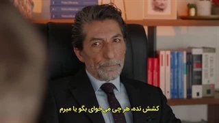 سریال فریب 29