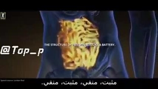 کشف مغز دوم (این ویدیو رو حتما حتما حتما ببینید :))