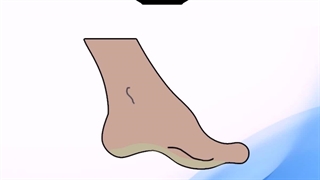 درمان بسیاری از بیماری ها با چرب کردن کف پا در طب سنتی (دکتر یاسر پاریاب)