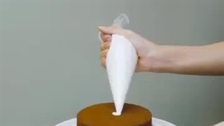 کیک های رنگارنگ و مدل به مدل