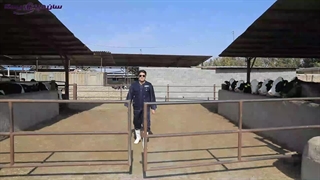 بازدید شرکت مینوویت از دامداری سامان دشت شهریار