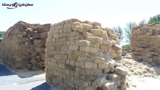 گزارش بازدید مینوویت از دامداری ولد آباد کوچک