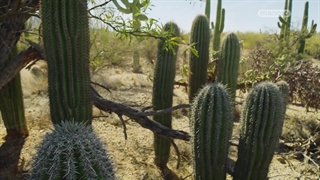 سیاره سبز ؛ 2022 ؛ فصل 1 ؛ قسمت 4